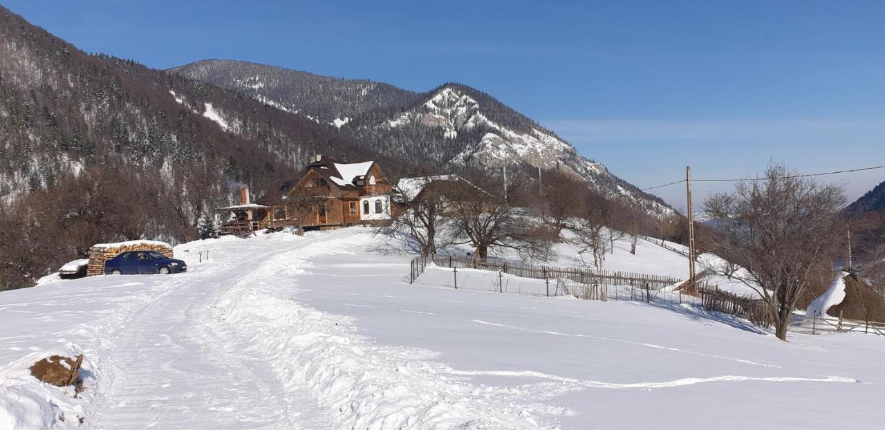 Casa Muchia Lui Girnita Villa Braşov Eksteriør bilde