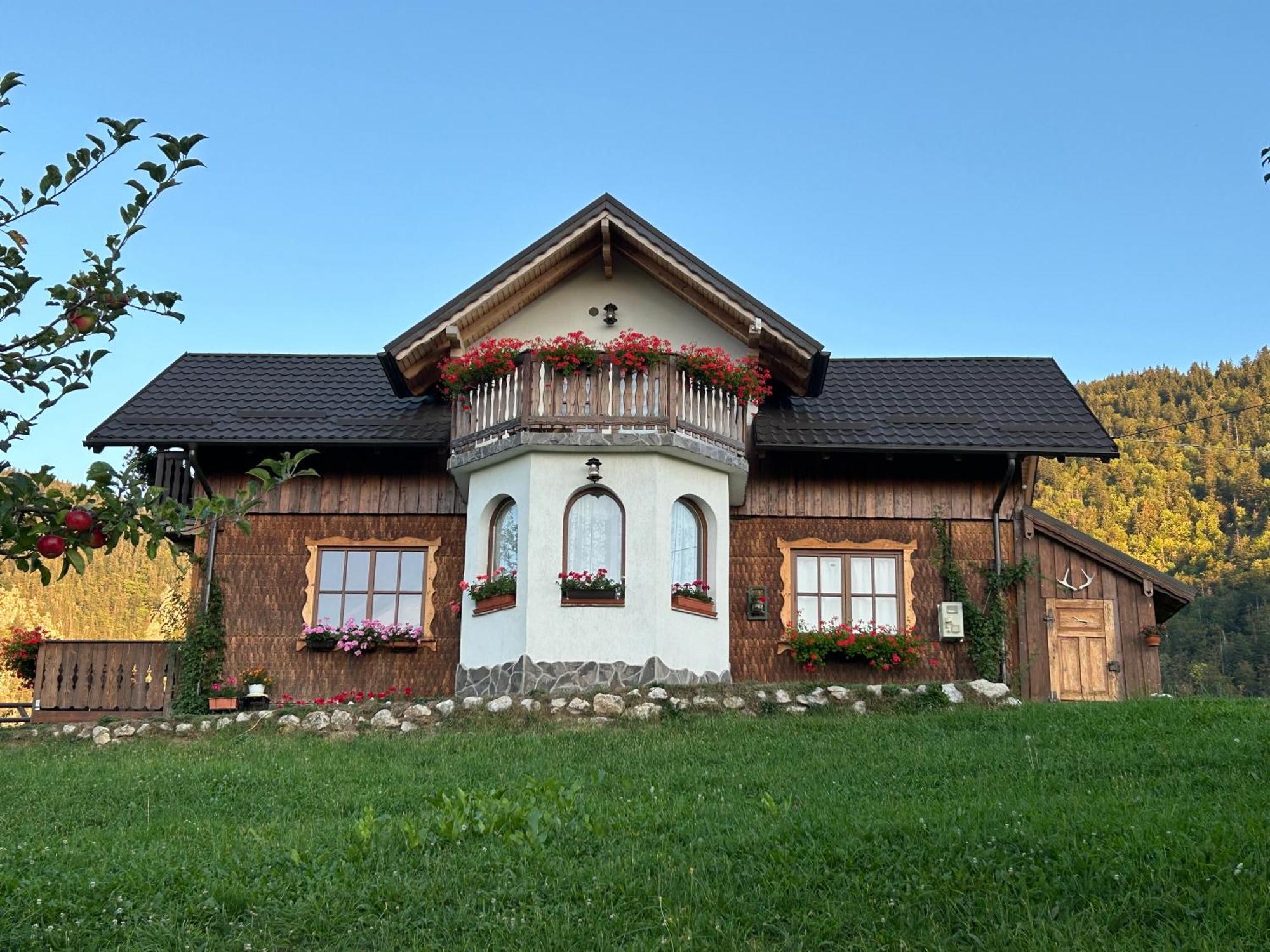 Casa Muchia Lui Girnita Villa Braşov Eksteriør bilde